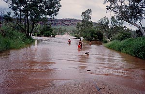 ���B�N�g���A���o�[