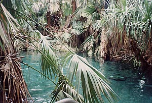 �}�^�����J