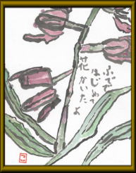 �ӂłł͂��߂ĉԂ�������