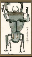 �I�I�t�^�}�^�N���K�^