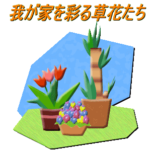 �䂪�Ƃ��ʂ鑐�Ԃ���