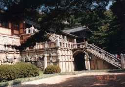 �������i�v���O�N�T�j