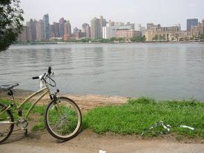 アメリカ旅行記 ニューヨーク 自転車