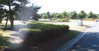 �������i