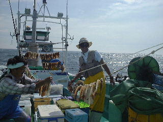 �C�J�̉��������ɑ�Z���̌�����