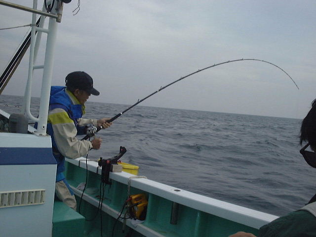 仁志さん その曲がり!! 慎重にね! シマアジでした! 私は釣った事無いんです。 うらやまし〜い