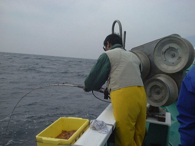 本日不調でした月さんに待望の当り! 難なく真鯛をゲット! さすがです! いつも誘ってくれてありがとう御座いました!