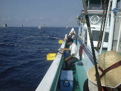 ������Ə����������R����