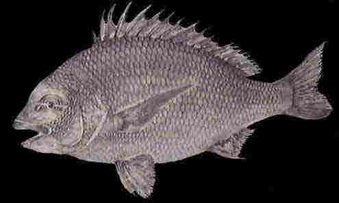 �L�r������