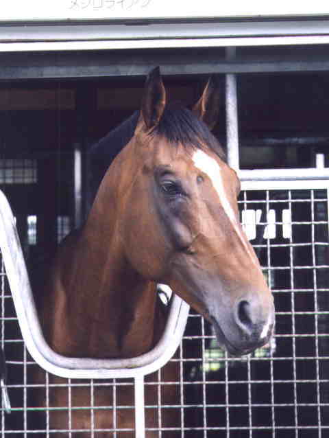 ���W�����C�A���@�E�܂����痧������D���I