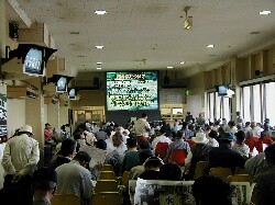 �g�D���[����