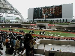 ��_���n��