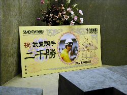 ��_���n��