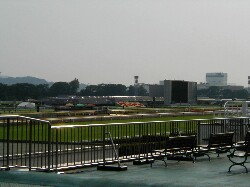 �������n��