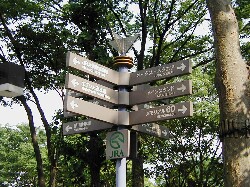 �������n��