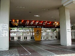 �������n��