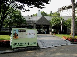 ���n������