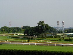 �������n��