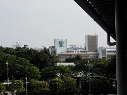 �������n��