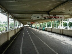 �������n��