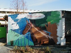 ���Ë��n��