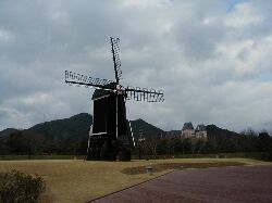 WINS������