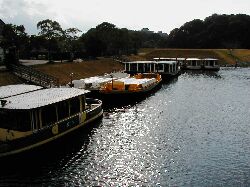 WINS������