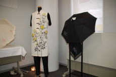 �I���W�i���F�T�ʐ^