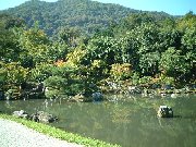 �뉀������t�߂����Ԃ�