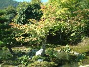 �r�̒��̏����ȓ�