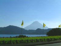 �J�V�I���[���h�I�[�v���J�Ò��ł��I