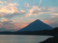 �R�쉷�򂩂猩����[�Ă�