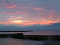 �w�h�̒��Ă�