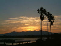 �R��`�̒��Ă�