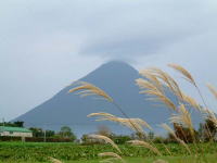 �������ƉJ�̊J���x