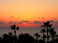 �[�Ă��Y��ł��B