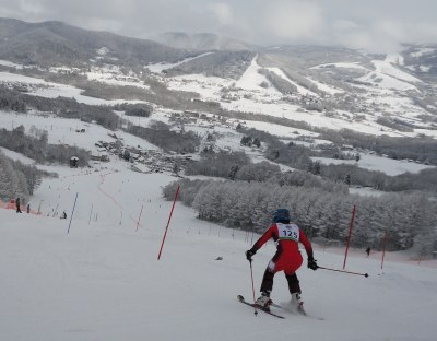 ��t�X�����[��