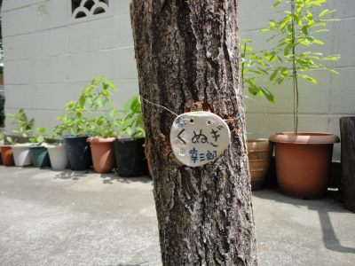 �A���v���[�g