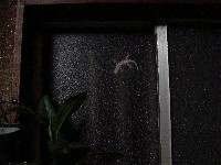 ���������J����