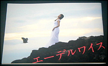 ブス会「エーデルワイス」舞台パンフレット/鈴木砂羽、水澤紳吾、大和孔太、高野ゆらこ、土佐和成、後藤剛範、藤井千帆、金子清文、ペヤンヌマキ