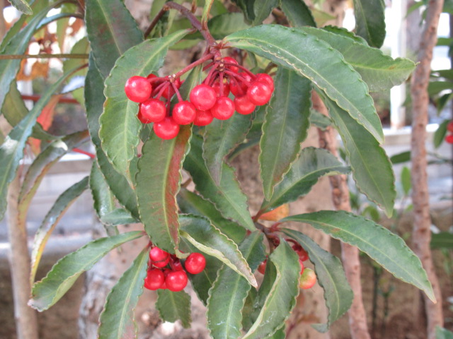 ���g��ʐ^�ɂȂ�܂�